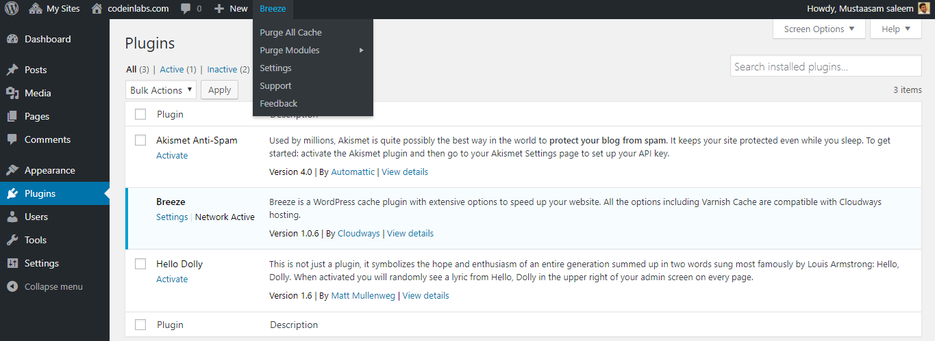 WordPress Multisite Cache Plugin for Faster Websites