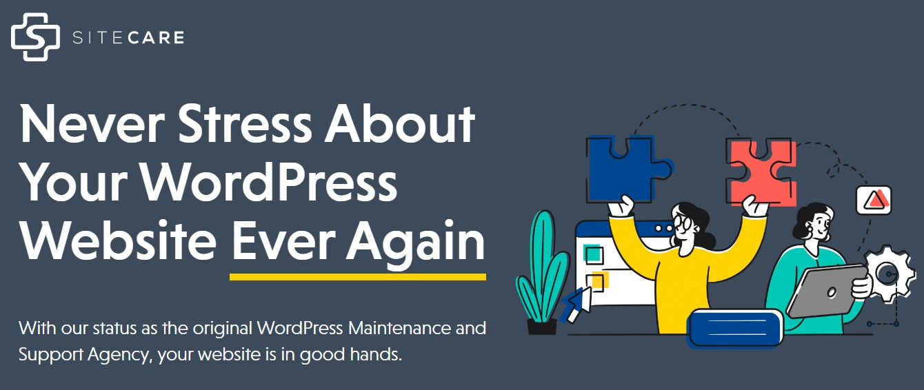 22 Best WordPress Support & Maintenance Services for 2024