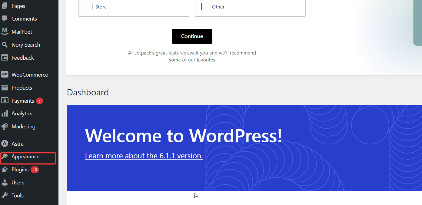 Choose a responsive WordPress theme