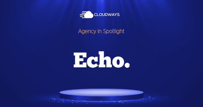 Echo Spotlight