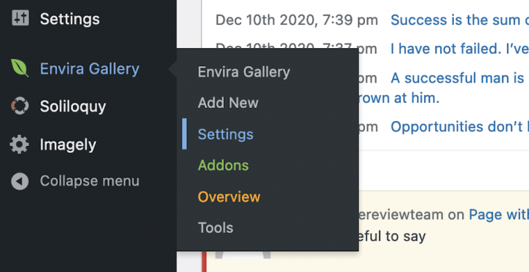 Envira Gallery: A Review of The WordPress Gallery Plugin