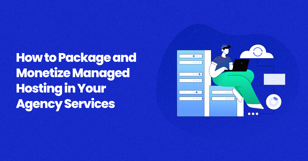 package web hosting in agency services