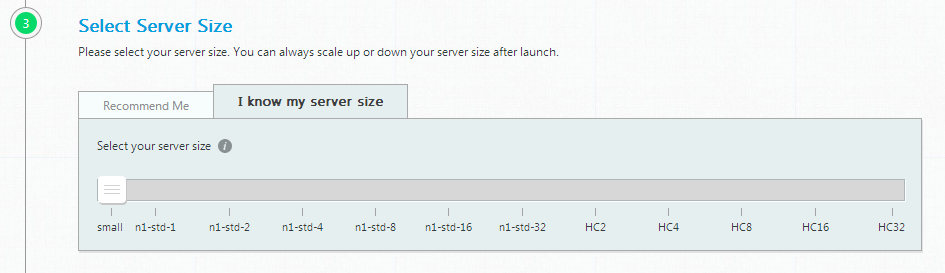 Select Server Size