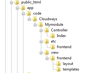 Module directory structure