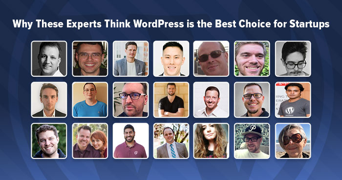 WordPress Experts about Startups