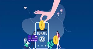 WordPress Charity Plugins