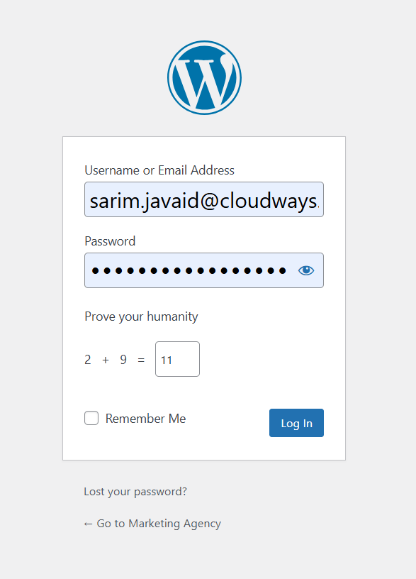 WordPress admin panel login
