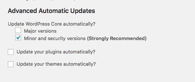 advanced automatic updates