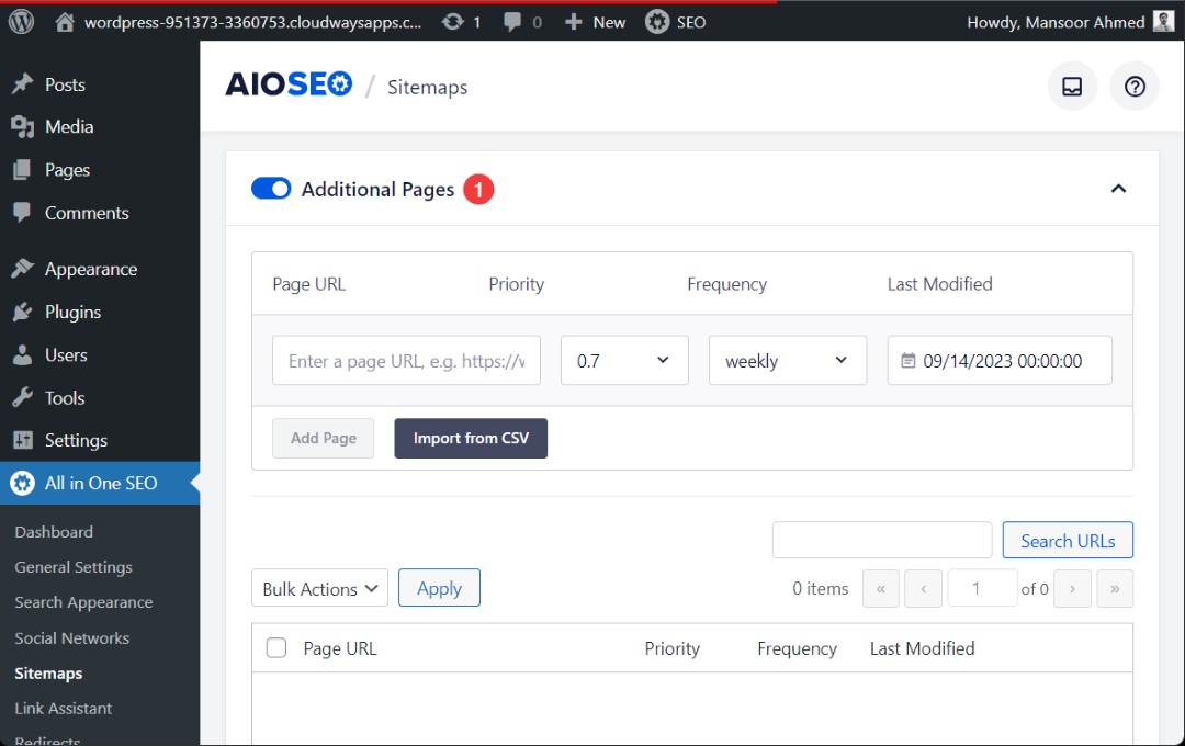 aioseo additional pages