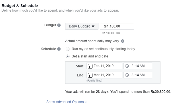 budget and schedule