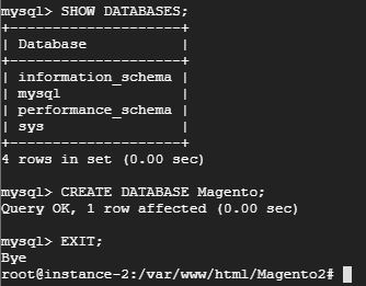 create database magento;