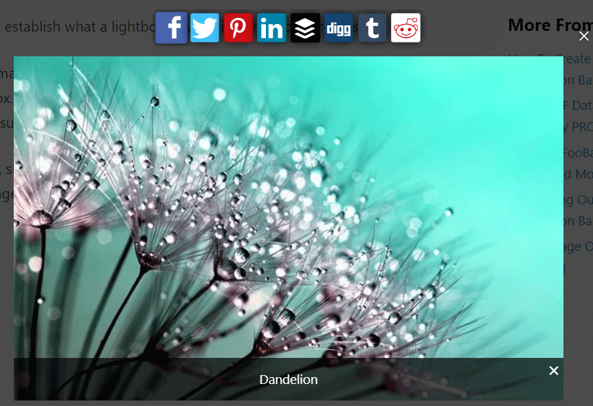 Foobox FooBox WordPress Review: A Responsive Media Lightbox Plugin