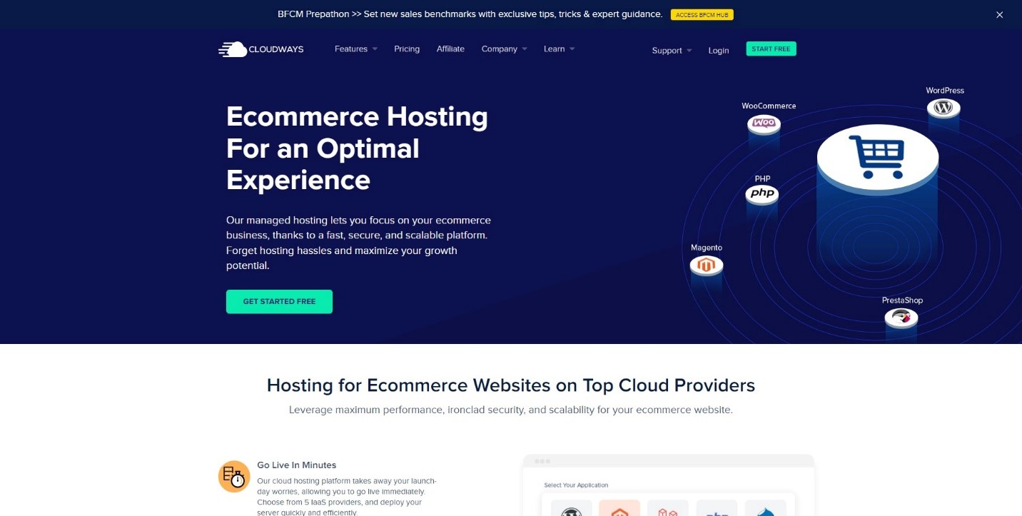 Screenshot of Cloudways hosting page