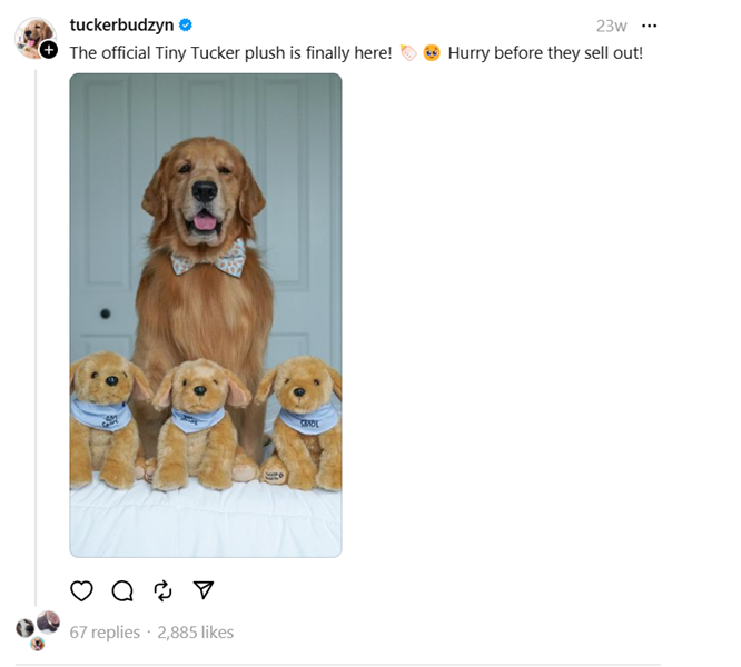 how Courtney Budzyn leverages her dog's popularity on Threads to effectively promote products