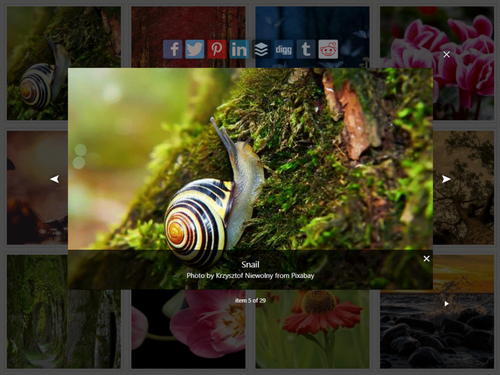 Foobox FooBox WordPress Review: A Responsive Media Lightbox Plugin