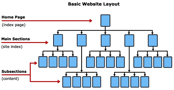 Basic Website Layout