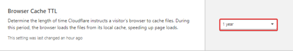 Set Browser Cache TTL to 1 year.