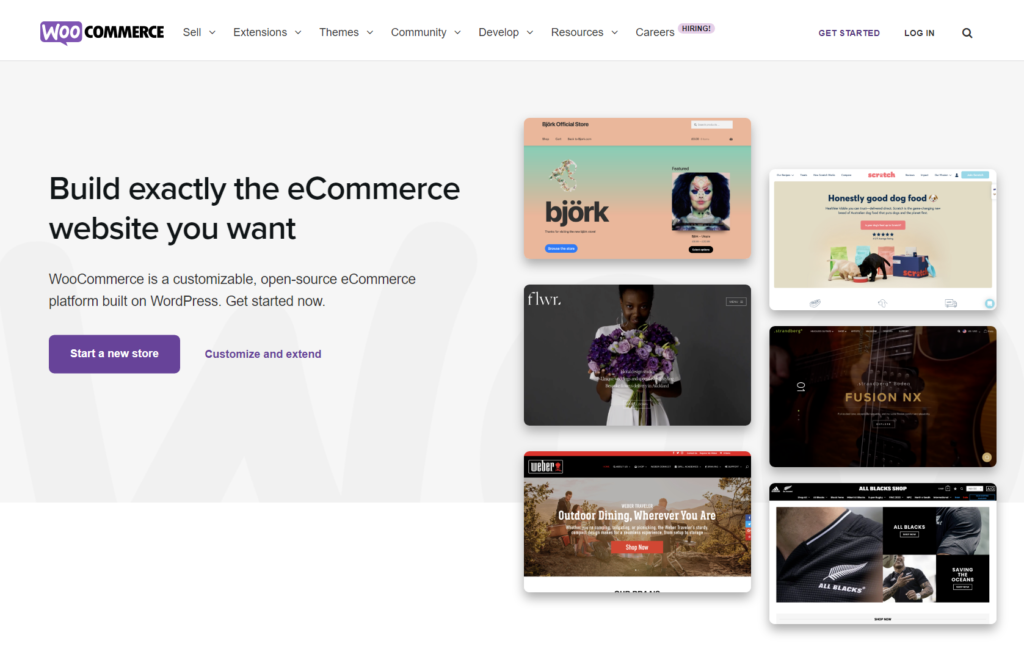 woocommerce overview