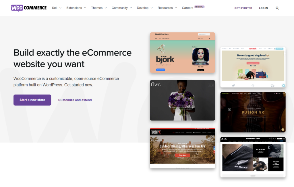 woocommerce overview