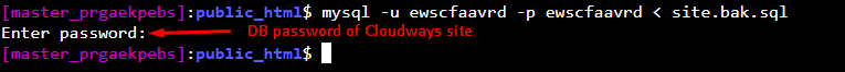 Cloudways SSH terminal
