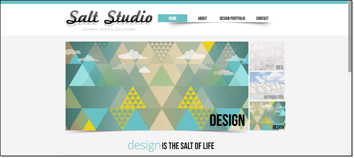 Salt Studio web site design agency