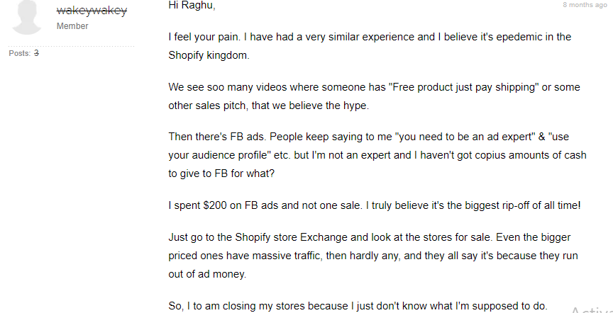 dropshipping expert opinion on Reddit