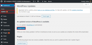 update wordpress 5.7