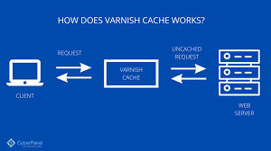 Varnish - Reverse Proxy