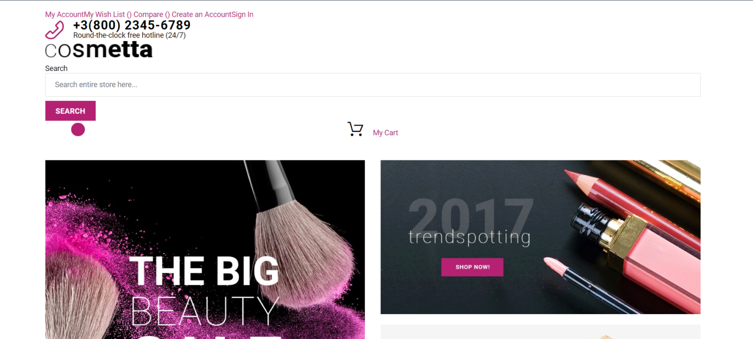 11 Best Magento Themes and Templates Stores