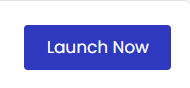 click on the Launch Server button