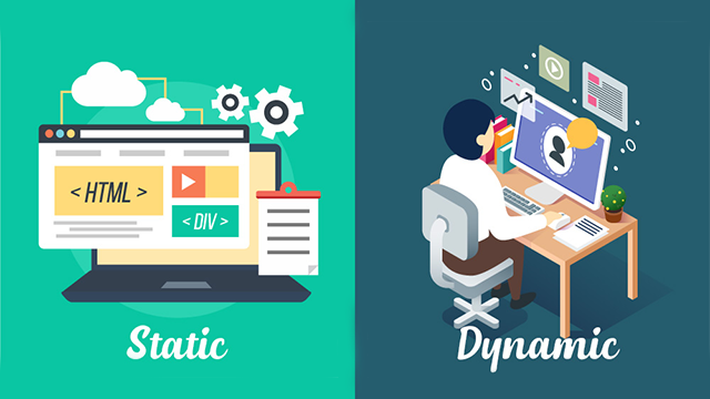 Dynamic vs. Static