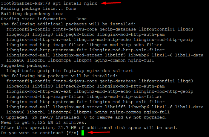 install the NGINX web server