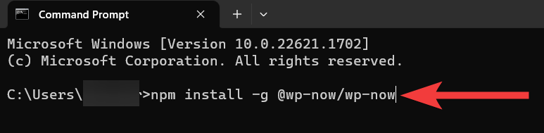 install wp-now directly from Npm