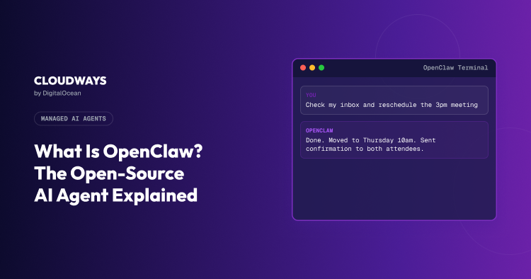 Gradient purple hero with Cloudways by DigitalOcean branding and a dark terminal window showing chat messages about rescheduling a meeting.