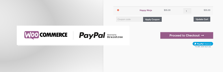 paypal by braintree
