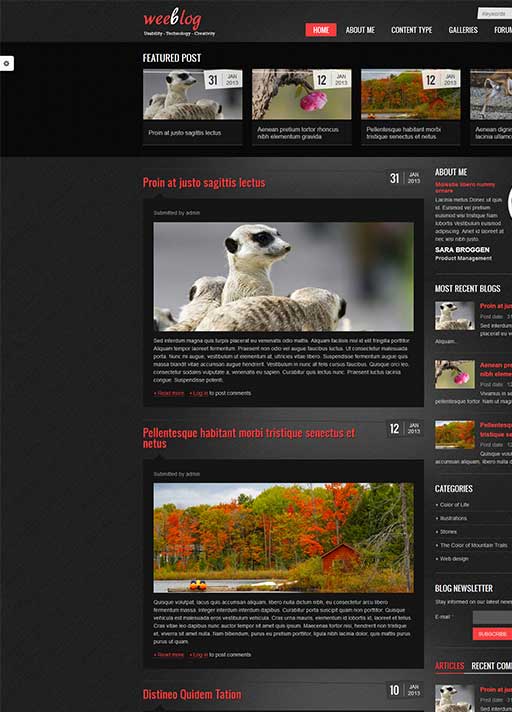 personal blog theme for drupal 8