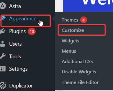 select wordpress theme in appearance customize