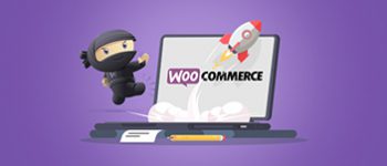Speed up WooCommerce Store