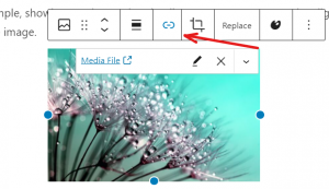 Foobox FooBox WordPress Review: A Responsive Media Lightbox Plugin