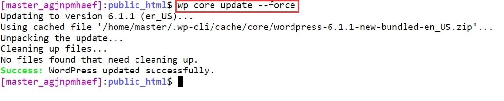 wp core update force