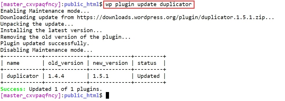 wp plugin update duplicator
