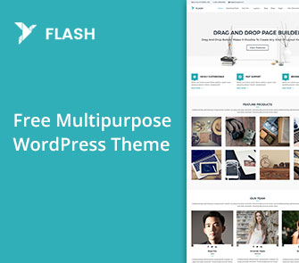 flash wordpress theme