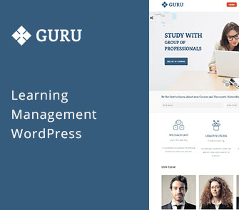 guru wordpress theme
