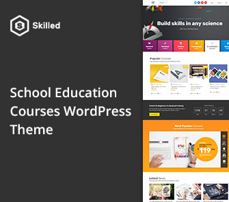 skilled wordpress theme
