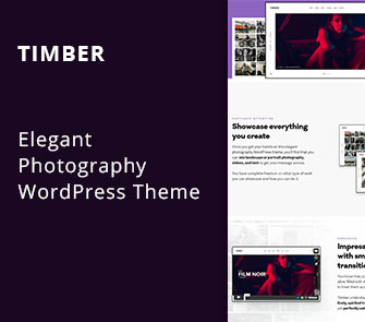 Timber WordPress Theme