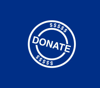 paypal donations wordpress plugin