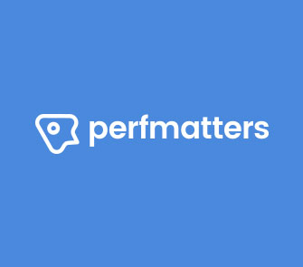 perfmatters wordpress plugin
