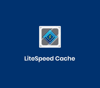 litespeed cache wordpress plugin