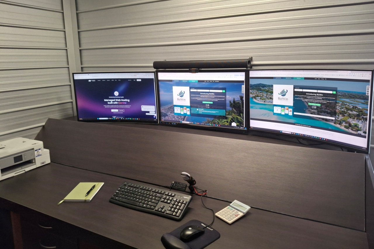 bizwin office setup with cloudways dashboard