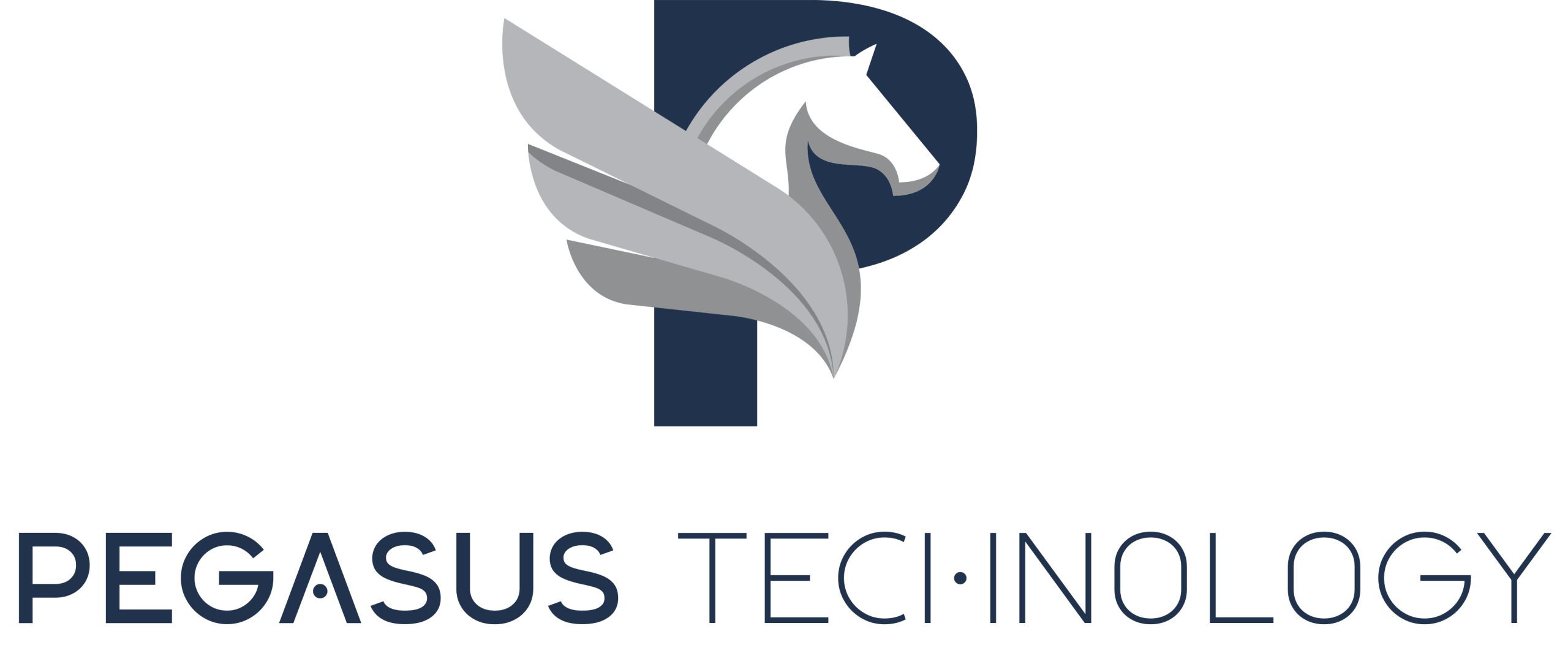 Pegasus Technology logo: stylized white horse head with gray wings forming a blue 'P' and brand text below.